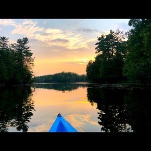 Meet your Posher, Brady